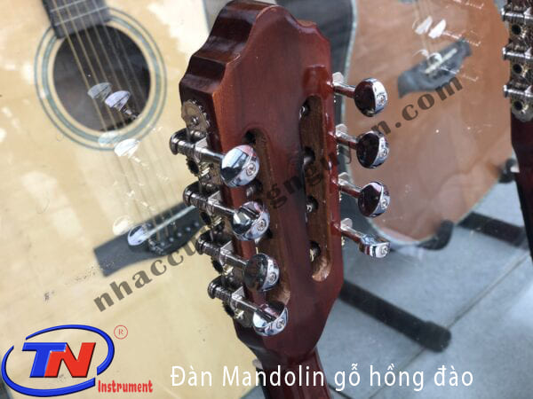 Đàn Mandolin gỗ hồng đào. Nhạc cụ Trung Nguyên|Chuyên Nhạc cụ